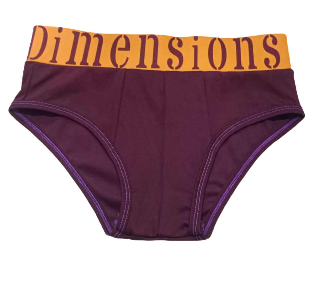 Metallicus Brief