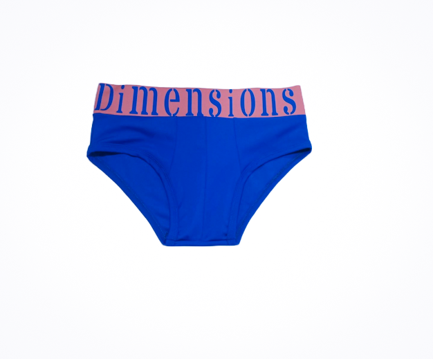Metallicus Brief